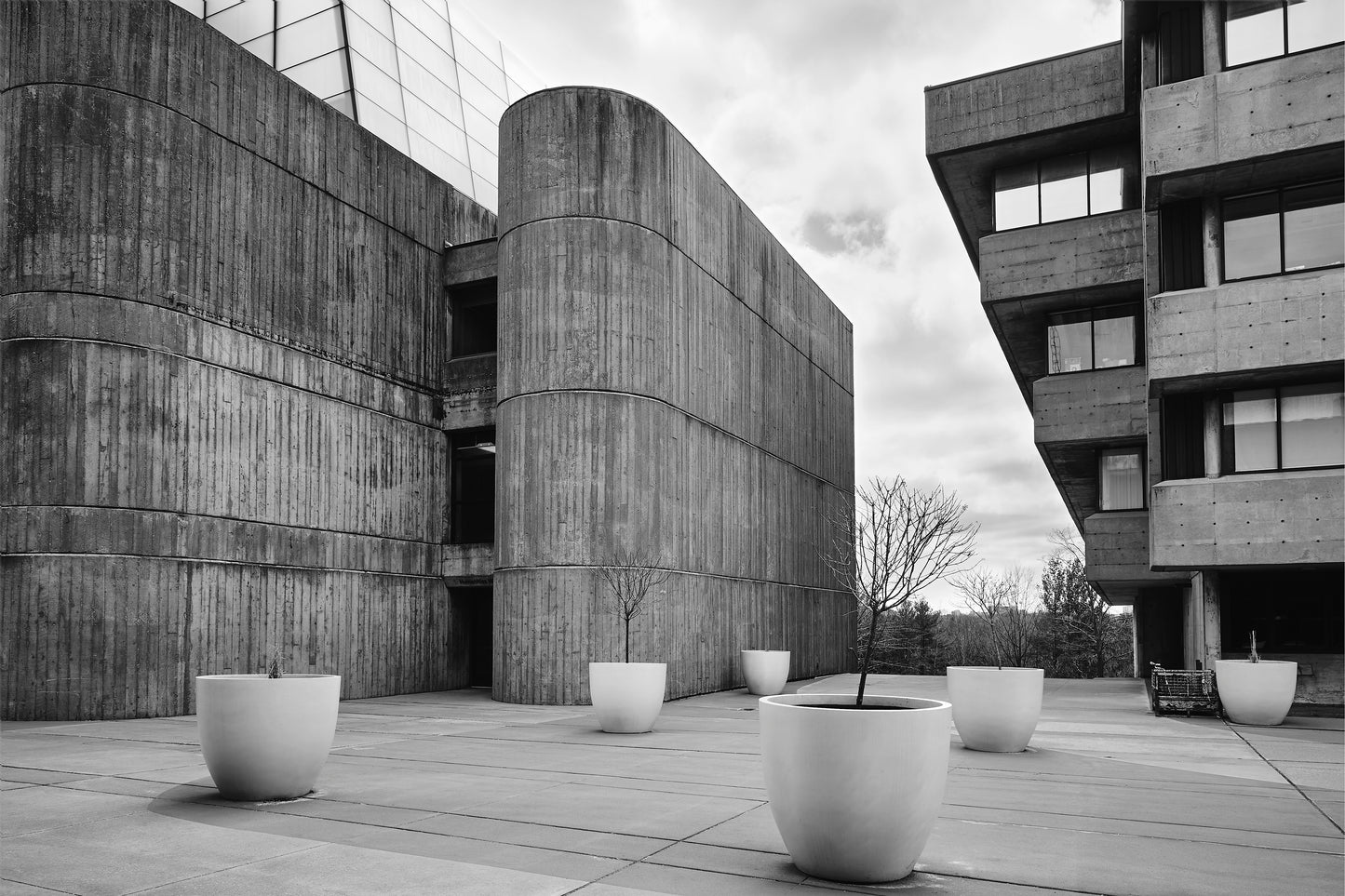 University of Toronto Scarborough Campus 1
