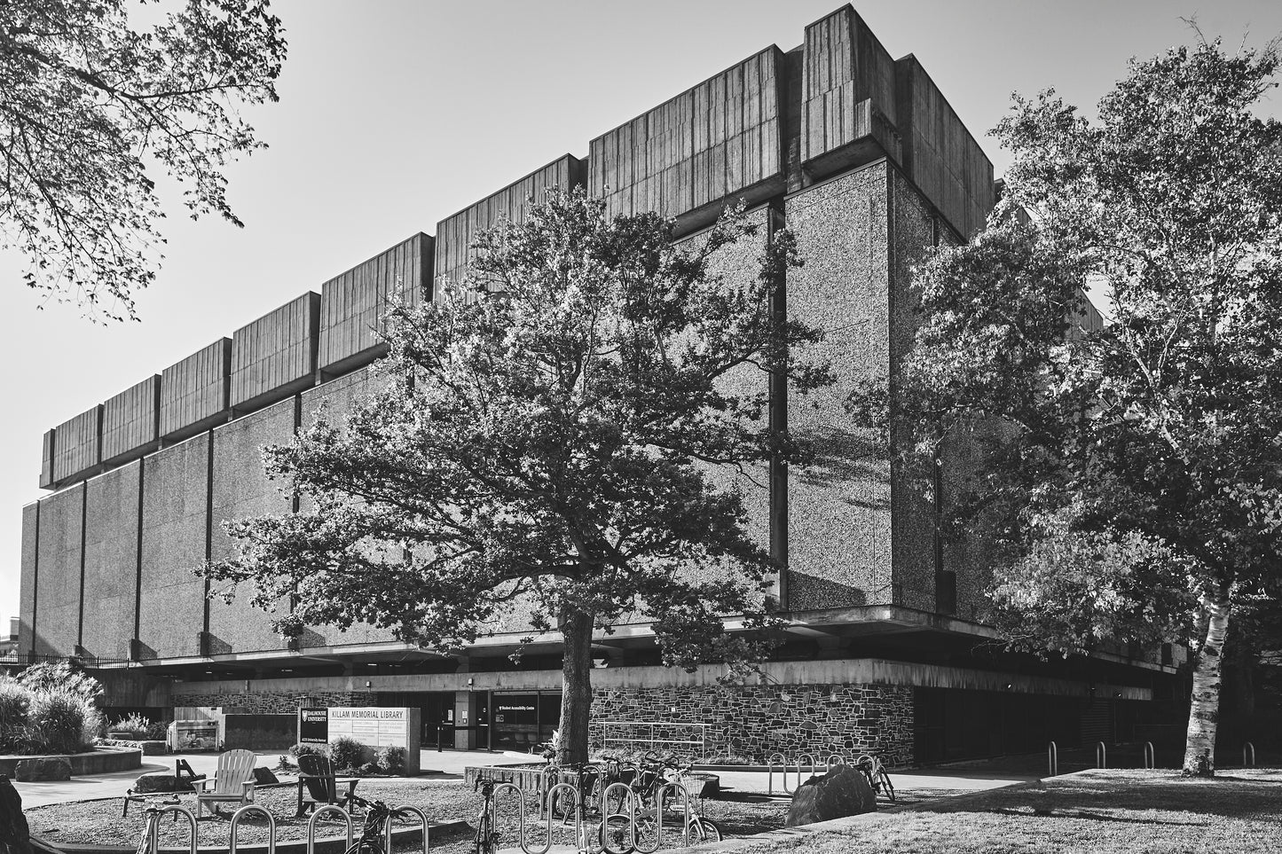 Killam Memorial Library 3