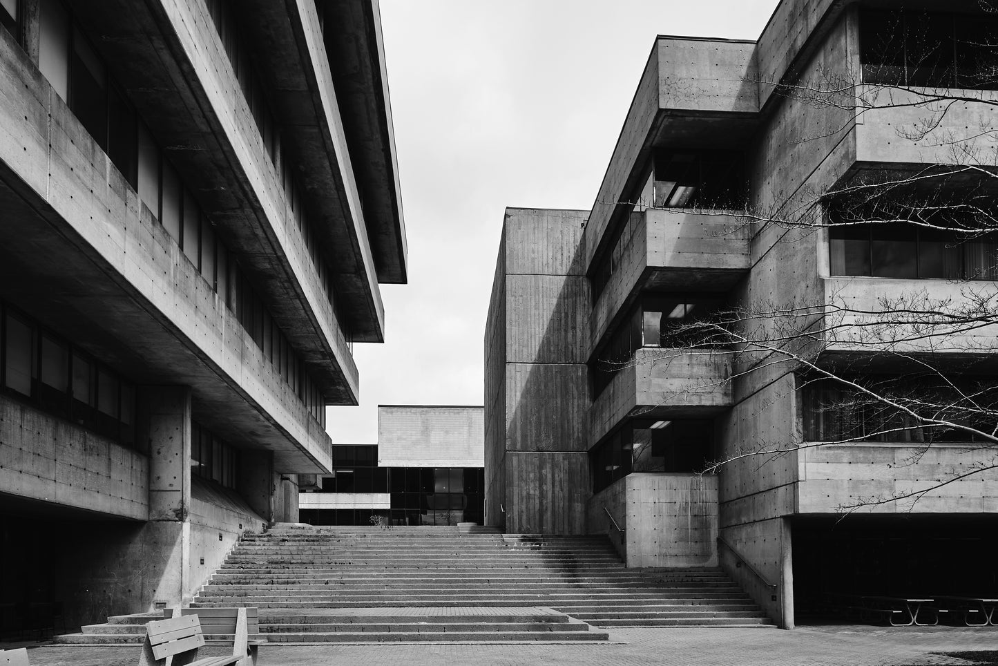 University of Toronto Scarborough Campus 4
