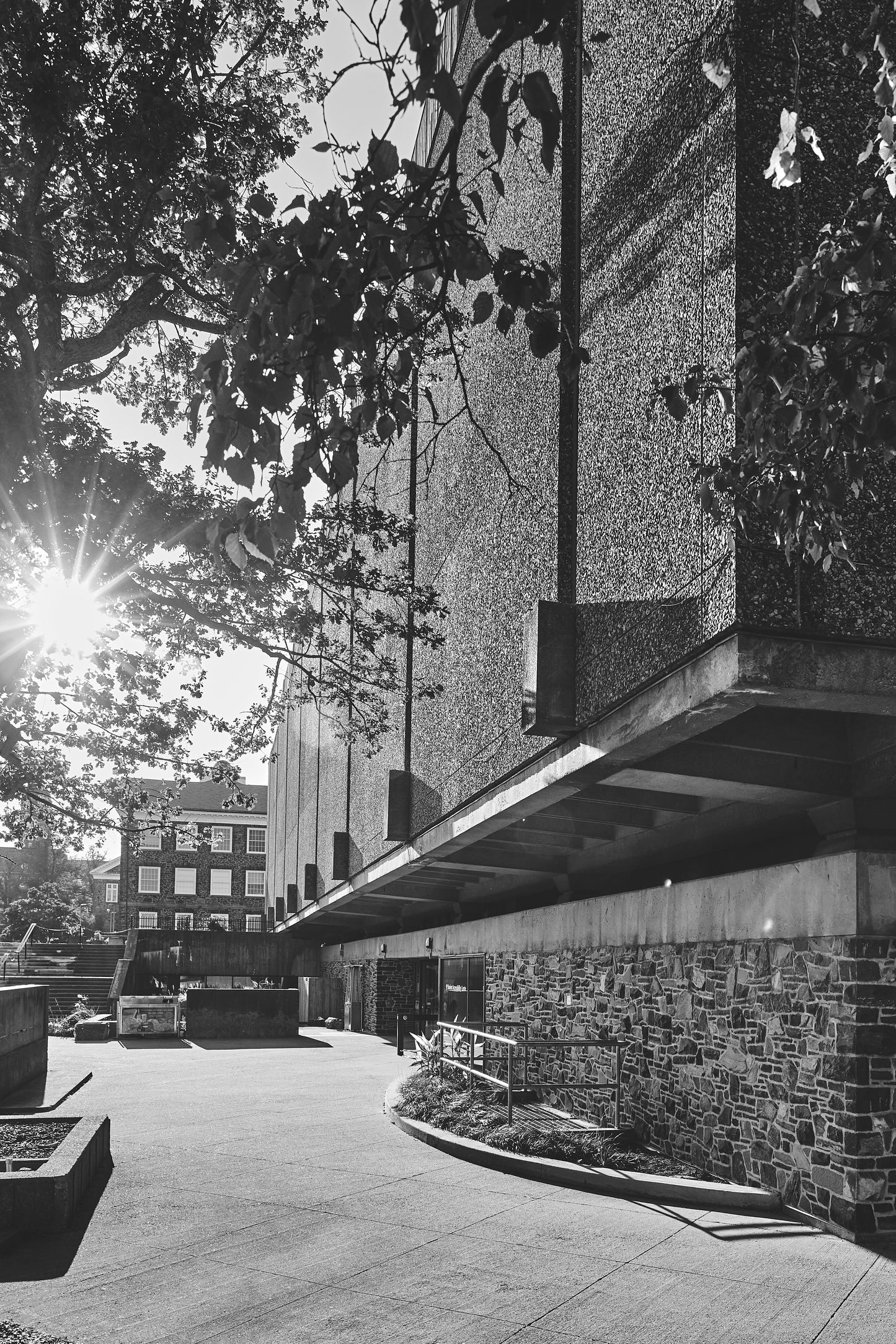 Killam Memorial Library 4